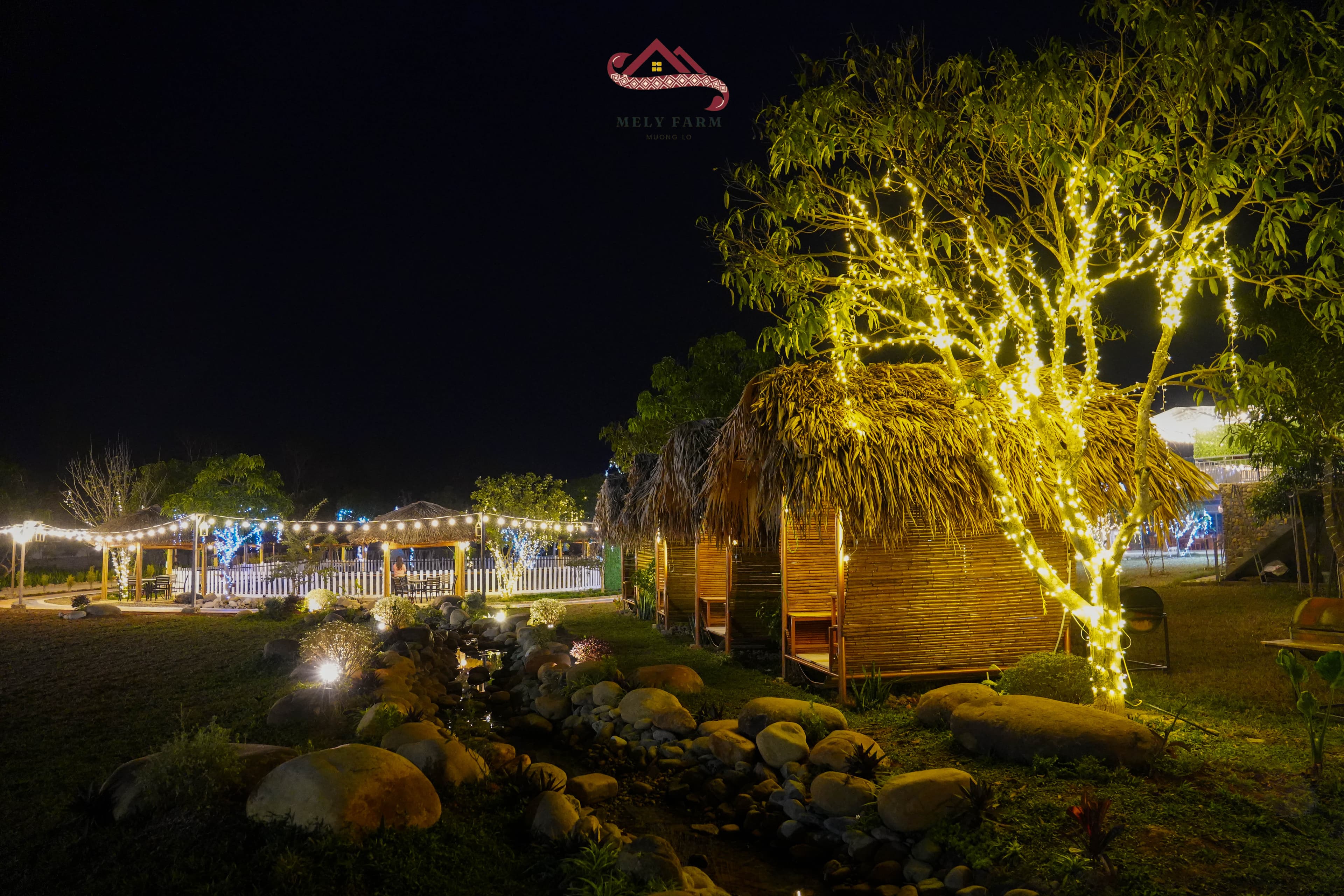 Khám Phá Vẻ Đẹp Thung Lũng Mường Lò - Nghĩa Lộ, Yên Bái