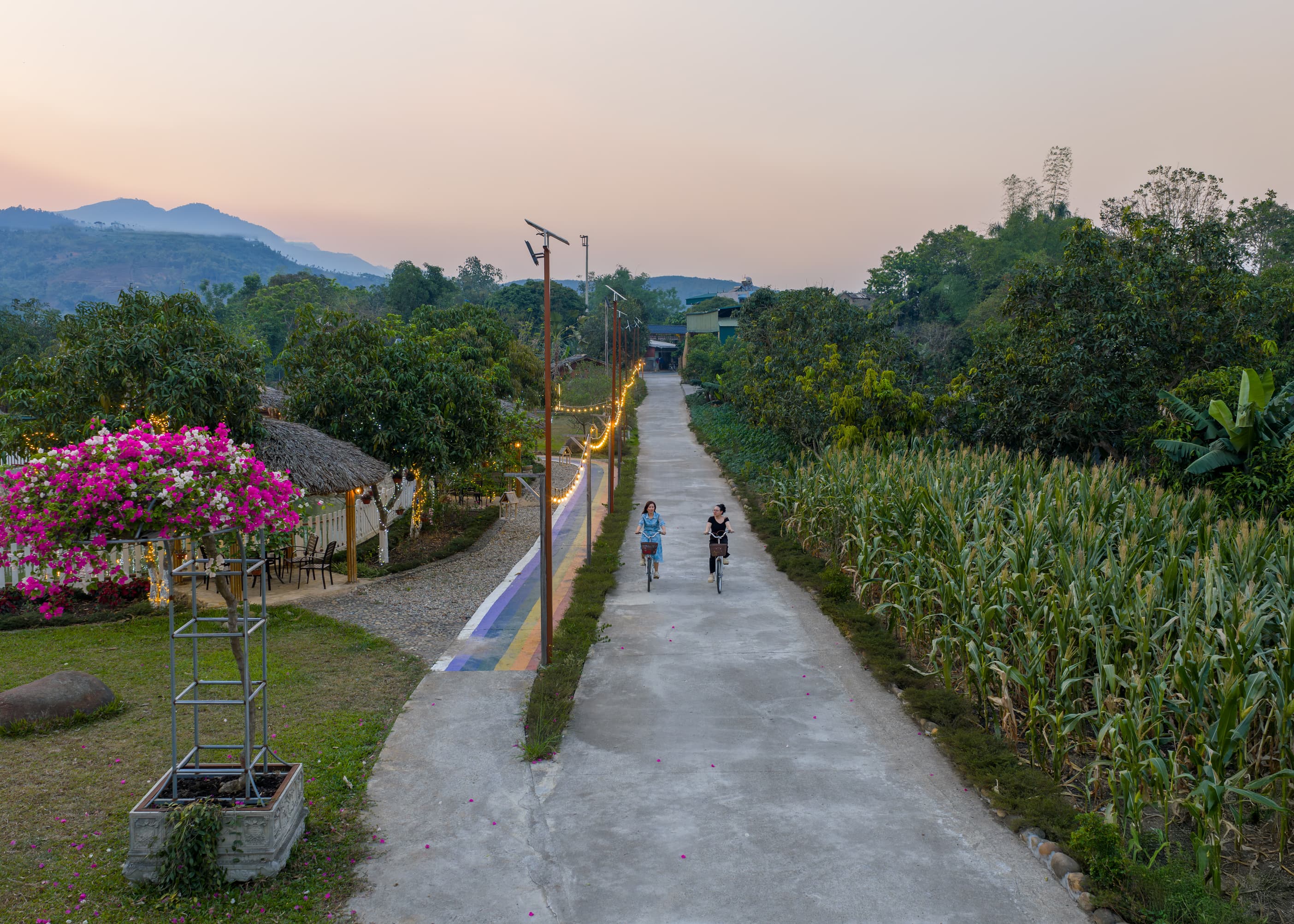 Trải nghiệm 11