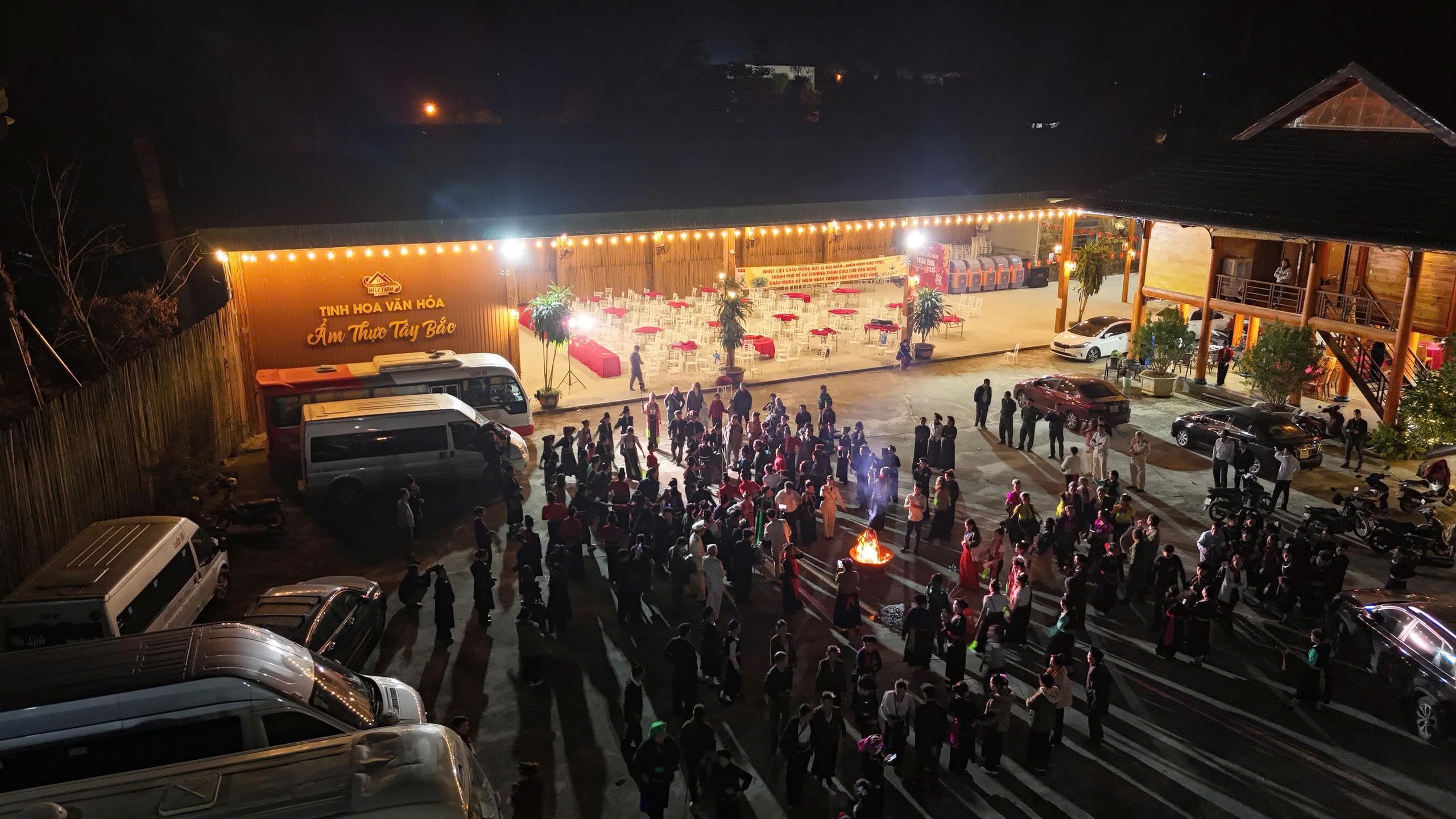 Rừng thông xanh mướt